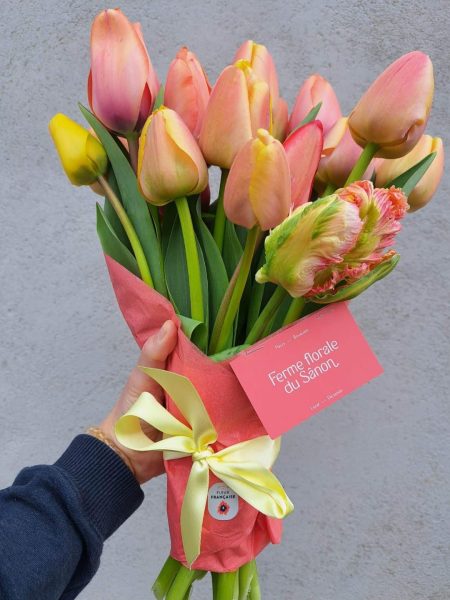 bouquets de tulipes ferme florale du sanon meurthe et moselle