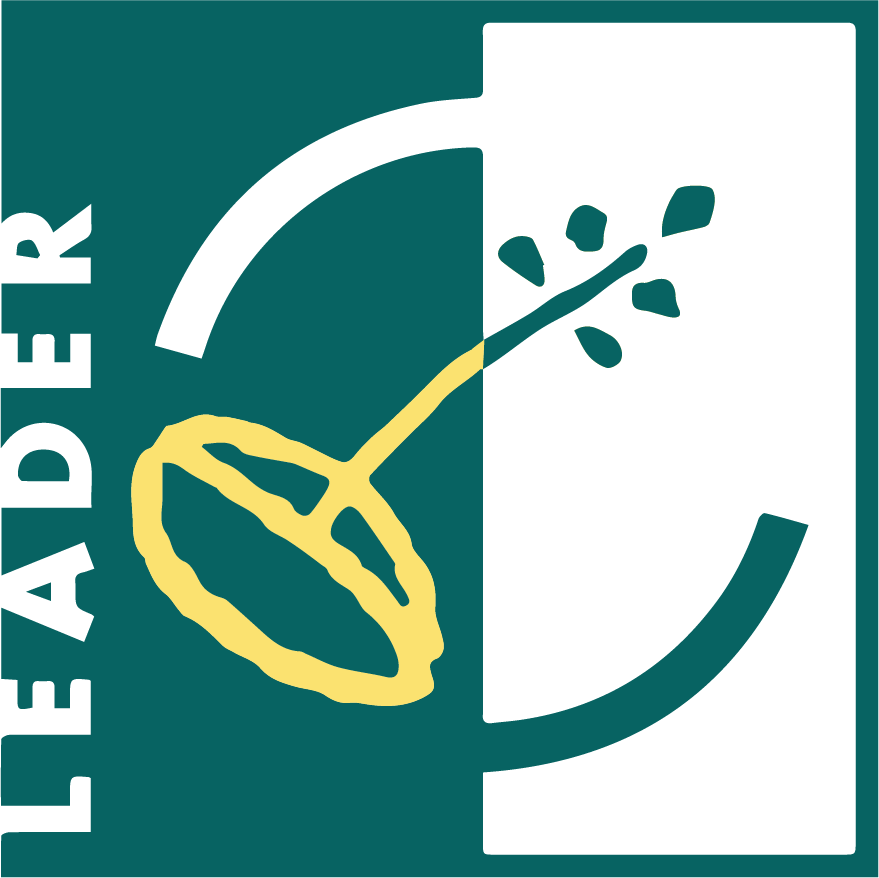 logo leader web