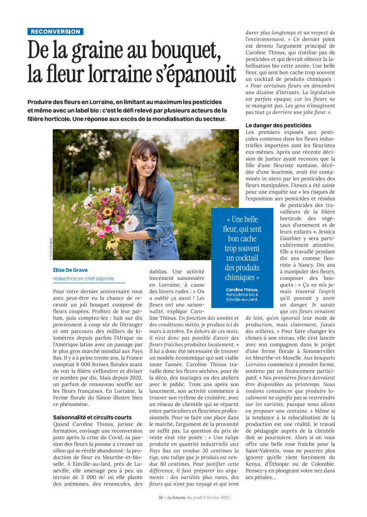 article semaine 06022025