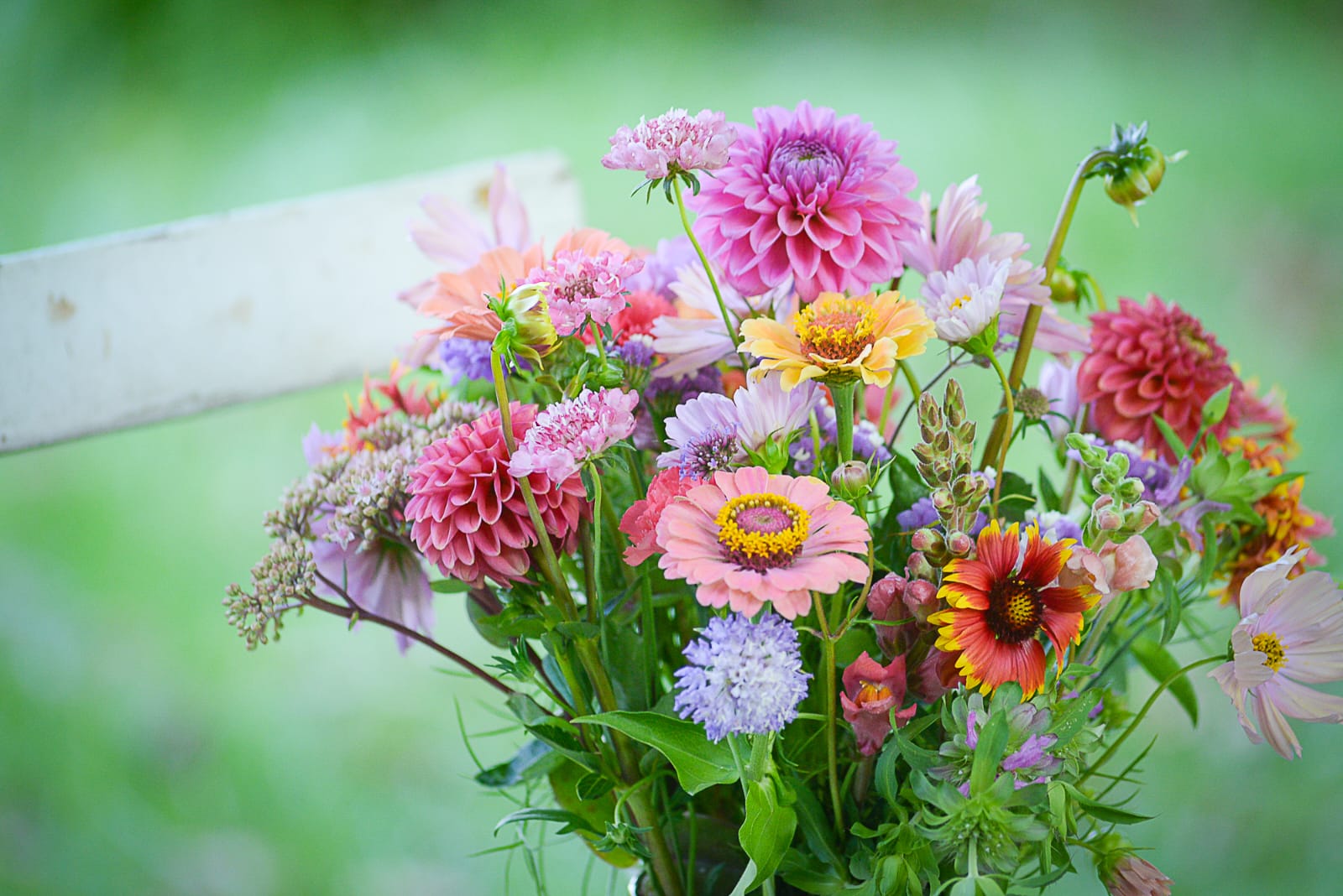 bouquet fleurs été